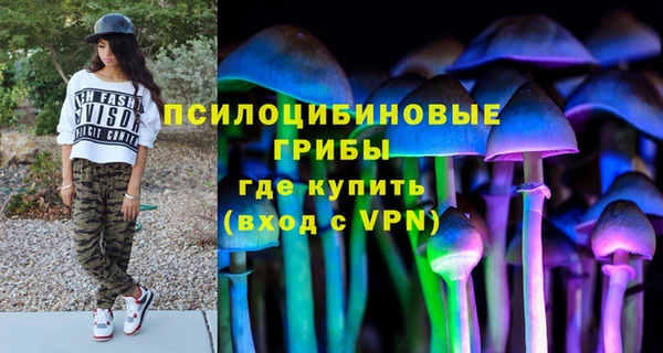 прущие крисы Вязники