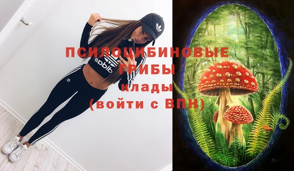 apvp Алзамай