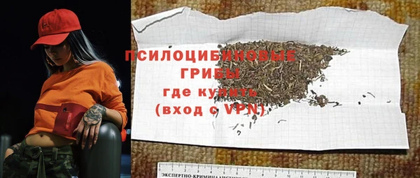 apvp Алзамай