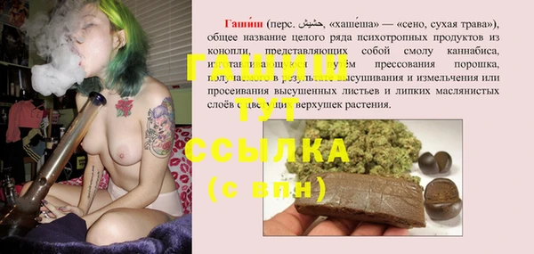 apvp Алзамай