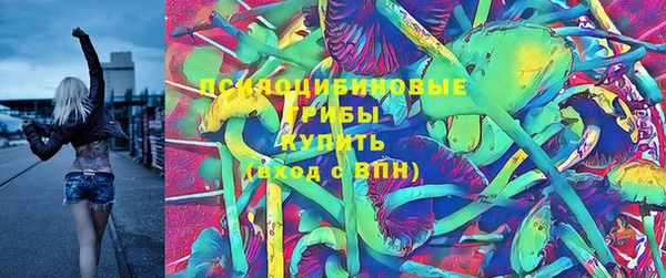 гидропоника Абаза